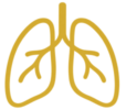 icon-atemcoaching-3